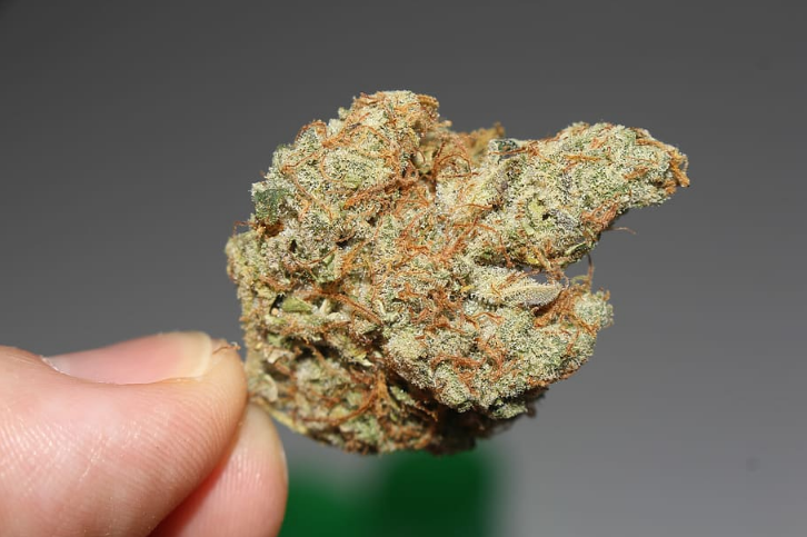 cannabis